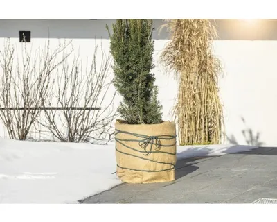 Produktbild von FloraSelf Winterschutz-Vliesmatte 1.5x0.38 m natur 300g/m2