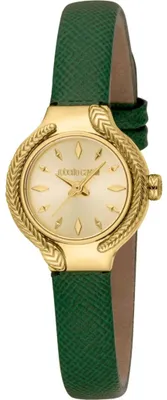Image de Roberto Cavalli Montres MP245999