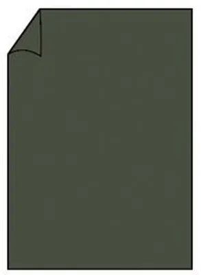 Zdjęcie produktu dla Rössler Papier 220726571 Papier firmowy Coloretti - A4, 165g, 10 arkuszy, leśny