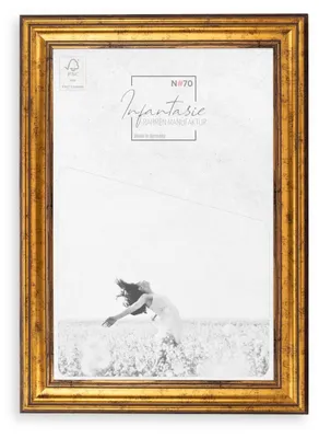 Produktbild von Bilderrahmen Barock N#70 | GOLD BRAUN  | Antik Vintage Massivholz Fotorahmen , Größe:80x45