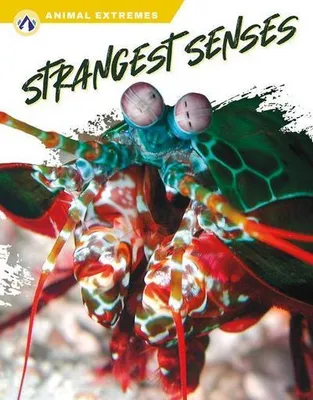 Image de Strangest Senses