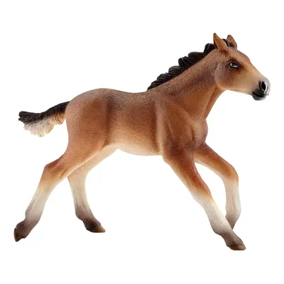 Produktbild von schleich Farm Life Mustang Fohlen, 3 Jahr(e), Mehrfarbig, Kunststoff, 1 Stück(e)