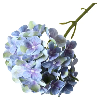 Produktbild von Künstliche Seidenhortensie mit täuschend echter Haptik und langem Stiel – ideal für Vase, Hochzeit, Party, Tischdekoration, Landhausstil, Herbstdeko für drinnen und draußen.
