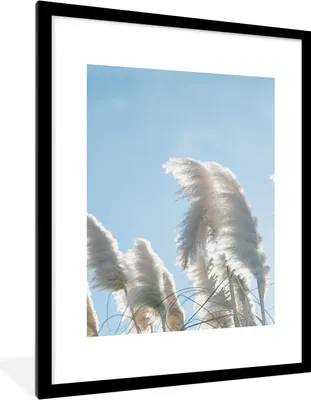 Produktbild von MuchoWow® Gerahmtes Poster Himmel - Gras - Pampasgras 60x80 cm - Poster mit Schwarzem Bilderrahmen Wandposter Rahmen Foto Bilder - Wohnzimmer - Dekorationen - Prämie