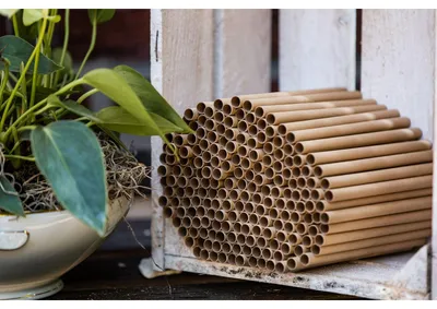 Produktbild von CULT at home 200 Insektenhotel Nisthülsen Ø 6 mm - Füllmaterial zum Bauen und Basteln Wildbienen Nisthilfe , Material:Pappe, Color:braun