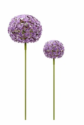 Produktbild von Allium Stecker Metall Ø16+20cm Gartenstecker lila 2erSet