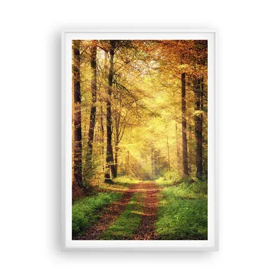 Produktbild von Gerahmtes Poster - Weißer Rahmen - Wald Baum Natur - 70x100 cm - Wand Bild - Wanddeko - Wandbilder - Kunstposter - Wandposter - Bilderrahmen - Bilder - Kunstdruck - Wandbild - P2WPA70x100-3718