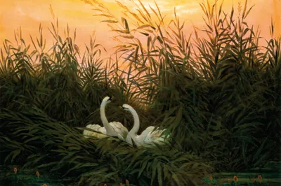 Obrázok produktu pre Caspar David Friedrich Art Print Obraz - Labute v rákosí, okolo roku 1820 (80 x 120 cm)
