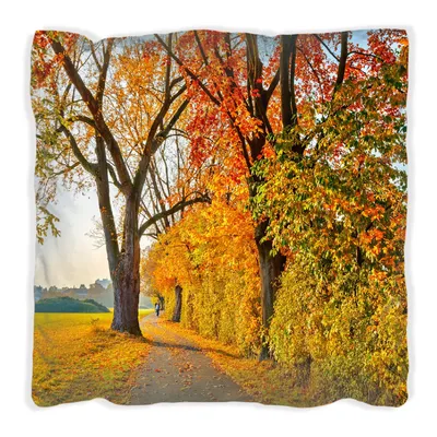 Produktbild von Wallario Premium Kissen, weiche Oberfläche, mit Motiv Herbstlicher Waldweg mit buntem Laub, Größe: 30 x 30 cm, mit weißer Rückseite