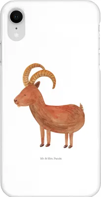 Produktbild von Mr. & Mrs. Panda Iphone XR Handyhülle Sternzeichen Steinbock - Weiß - Geschenk, Ziege, Handy Case, Bock, Steinböcke, Premium Kunststoff, Geburtstag Dezember, Januar