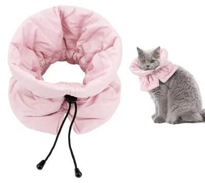 Image de Collier souple et réglable - Collier pour chat - Collier de détente - Léger - Polyester - Dimensions : 29,2 x 9,25 cm