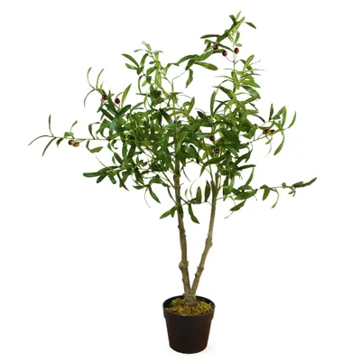 Produktbild von Künstlicher Olivenbaum ca. 105 cm im Blumentopf