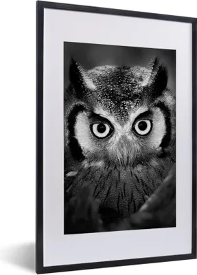 Produktbild von MuchoWow® Gerahmtes Poster Vogel - Eule - Porträt - Schwarz - Weiß 40x60 cm - Poster mit Schwarzem Bilderrahmen Wandposter Rahmen Foto Bilder - Poster in Rahmen