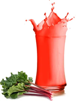 Produktbild von Rhabarber Milchshake Pulver 333 g