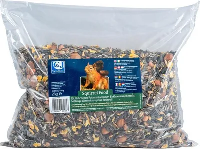 Image de Nourriture pour écureuils.