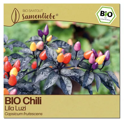 Produktbild von Samenliebe Chili Samen | Lila Luzi - lila & scharf & mini - samenfestes Saatgut