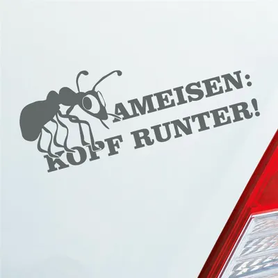 Produktbild von Auto Aufkleber Ameisen Kopf runter! Auto Tuning 15x6 cm Grau Sticker Heckscheibenaufkleber