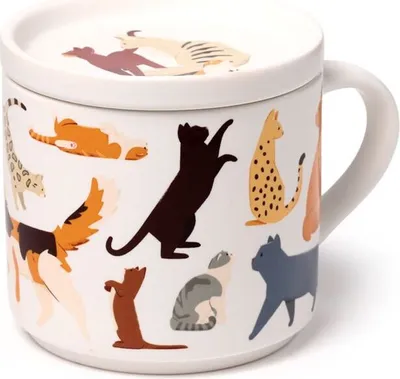 Produktbild von Puckator - Feline Fine Katzen Porzellan Tasse & Untersetzer Set