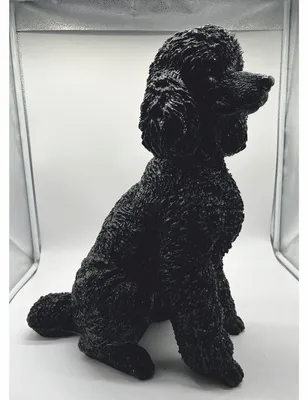 Produktbild von Casa Padrino Deko Figur Hund Pudel Schwarz H. 47 cm - Deko Skulptur