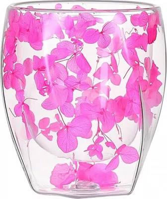 Immagine prodotto di Carla Thermos in vetro Assaraf trasparente 350 ml