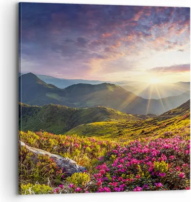 Produktbild von Bild auf Leinwand - Leinwandbild - Gebirge Wiese Landschaft Wald - 70x70cm - Wand Bild - Wanddeko - Leinwanddruck - Bilder - Kunstdruck - Wanddekoration - Leinwand bilder - Wandkunst - AC70x70-3152