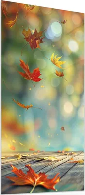 Produktbild von Glasbild 55x110cm in XXL für Wohnzimmer, Schlafzimmer Motiv Herbstlaub Wald