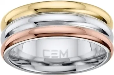 Produktbild von Ring aus Titan, Modell CT5-236, Größe 52