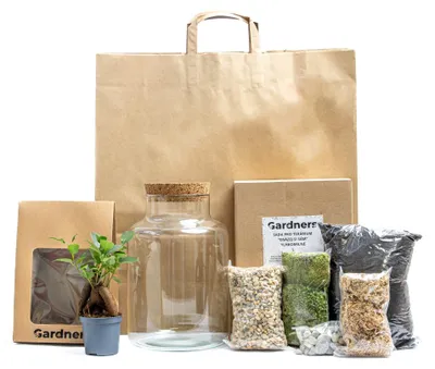 Produktbild von Gardners Glaskrug HELENIUM, selbst bepflanzbar. Ficus microcarpa Ginseng, in Geschenkverpackung
