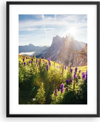 Produktbild von Gerahmtes Poster - Schwarzer Rahmen - Berge Wiese Blumen - 40x50 cm - Wand Bild - Wanddeko - Wandbilder - Kunstposter - Wandposter - Bilderrahmen - Bilder - Kunstdruck - Wandbild - P2BPA40x50-4008