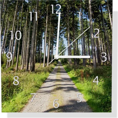 Produktbild von Wallario Design Wanduhr Stiller Waldweg aus Aluverbund, Größe 30 x 30 cm