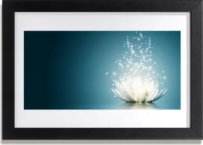Produktbild von Bild 30x20 MDF-Rahmen Wandkunst Lotus-Blumen-Anlage