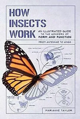 Zdjęcie produktu dla How Insects Work