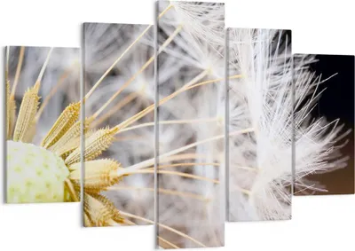 Produktbild von Bild auf Leinwand - Leinwandbild - Baby Sommer Pflanze - 150x100cm - Wand Bild - Wanddeko - Leinwanddruck - Bilder - Kunstdruck - Wanddekoration - Leinwand bilder - Wandkunst - EA150x100-3630