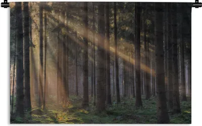 Produktbild von MuchoWow® Wandteppich Wandbehang Bäume - Wald - Sonne - Pflanzen 150x100 cm Tapisserie Dekoration Wandtuch - Waschbar - Tapisserien - Wand-Decke