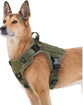 Obrázek produktu pro Taktický postroj pro psy - XL army green, nastavitelný, robustní, pro turistiku a lov