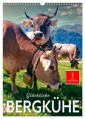 Produktbild von Glückliche Bergkühe (Wandkalender 2027 DIN A3 hoch), CALVENDO Monatskalender