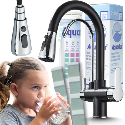 Produktbild von 3-Wege Küchenarmatur NORDIC mit Wasserfilter-Anschluss, herausziehbare Brause, 360° schwenkbar, getrennte Wasserwege, Keramikkartusche Shwarz-Chrom
