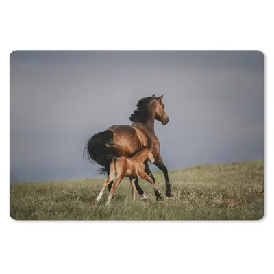 Produktbild von MuchoWow® Schreibtischunterlage Tiere - Pferde - Fohlen 60x40 cm - XXL Mauspad - Großes Mauspad