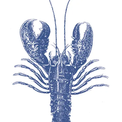 Produktbild von PPD Lobster Marine Servietten Tischservietten 20 Stück Tissue Blau Weiß 33x33 cm
