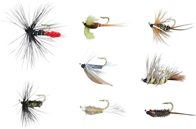 Produktbild von Balzer Edition Fly Nassfliegen-/Nymphensortiment - 8 Fliegen im Set