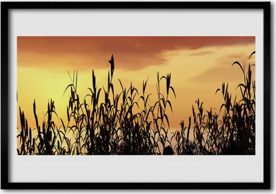 Produktbild von Bild 100x70 MDF-Rahmen Wandkunst Blätter West Meadow Feld