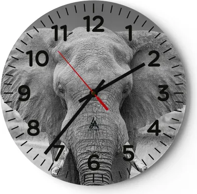 Produktbild von Wanduhr - Rund - Glasuhr - Elefant Afrika Tier - 30x30cm - Schleichendes Uhrwerk - Lautlos - zum Aufhängen bereit - Dekoration Modern - Wanddekoration aus Glas - C4AR30x30-5072