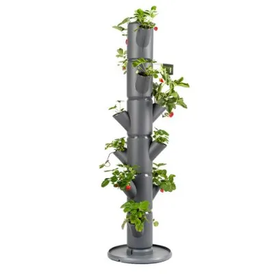 Produktbild von Gusta Garden SISSI STRAWBERRY štartovací samozavlažovací box 4 poschodia, antracitová farba, rozmery 27 × 27 × 77 cm