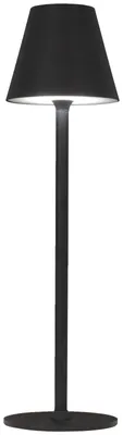 Produktbild von Tischleuchte STEVE Akku 36 cm Höhe mit Farbtemperaturwechsler 3000-6000K