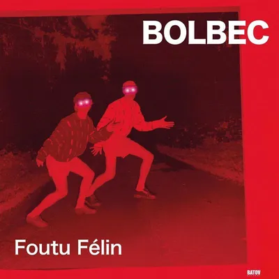 Image de Foutu Félin