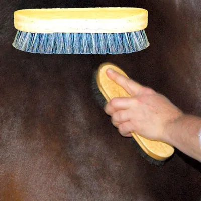Productafbeelding van Paarden Borstel - Vachtborstel Paard - Vacht Verzorgen - Houten Blok - 22 cm - Niet gespecificeerd