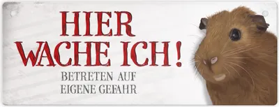 Produktbild von Betreten auf eigene Gefahr - Hier wache ich! Metallschild XL mit