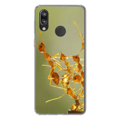 Produktbild von MuchoWow® Handyhülle Schutzhülle Hülle für Huawei P20 Lite (2020) Ameisen - Orange - Tiere Silikon Softcase Handy Hülle - Kartenhalter