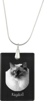 Produktbild von Ragdoll - Crystal pendant with cat, silver necklace with photo, personalised pendant by Art-Dog brand