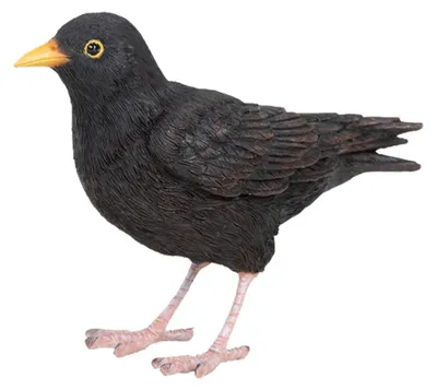Immagine prodotto di Uccello decorativo da esterno in poliresina Merlo